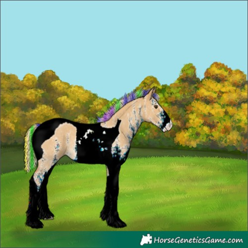 Horse Color:Painted White Spotted Palomino Dun Tobiano Rabicano 