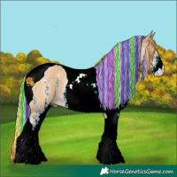 Horse Color:Painted White Spotted Palomino Dun Tobiano Rabicano