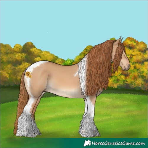 Horse Color:Red Dun Tobiano 