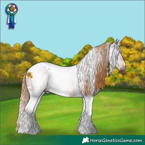 Horse Color:Gray White Spotted Red Dun Tobiano Rabicano 