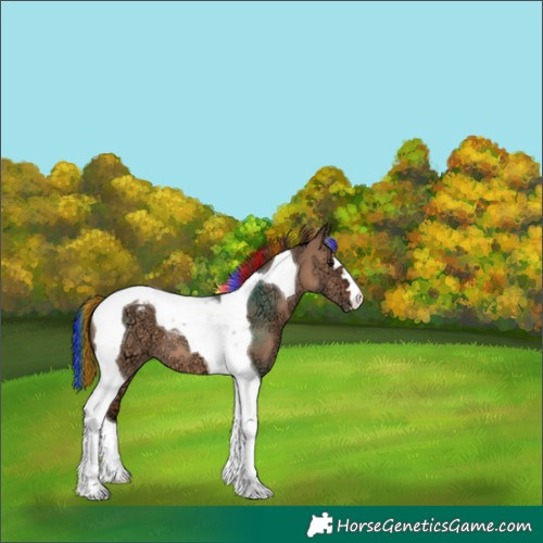 Horse Color:Painted Bay Ice Dun Tobiano Appaloosa 