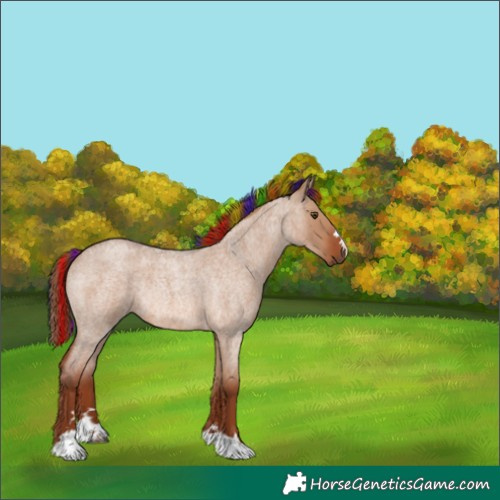 Horse Color:Painted Red Dun Roan Rabicano 
