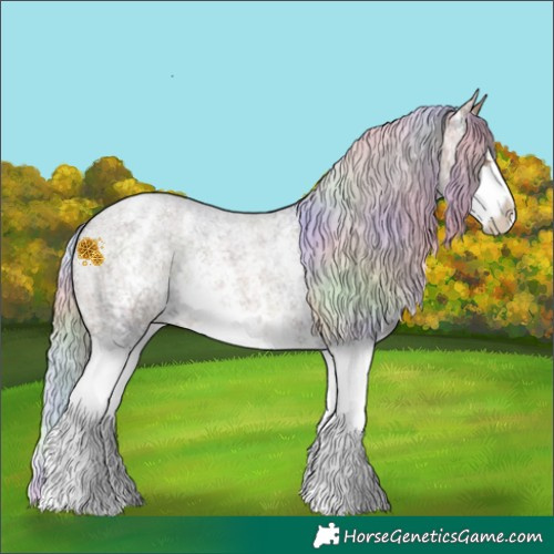 Horse Color:Nacre Silver Buckskin Ice Roan Sabino Splash Appaloosa 