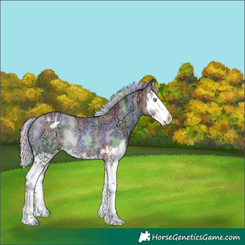 Horse Color:Platinum Nacre Silver Buckskin Ice Pearl Splash Appaloosa Rabicano 