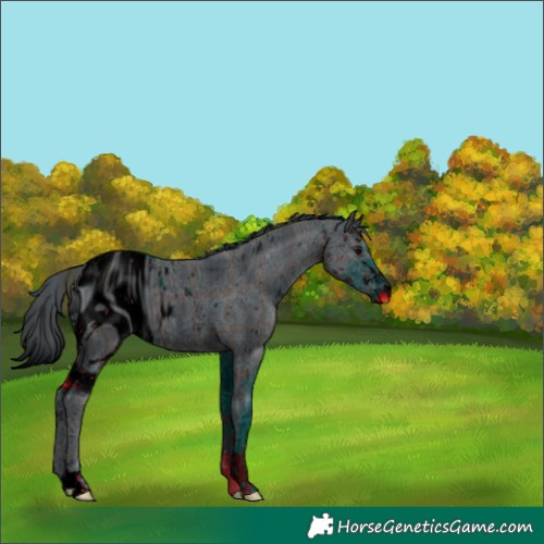 Horse Color:ERROR: UNKNOWN ANOMALY