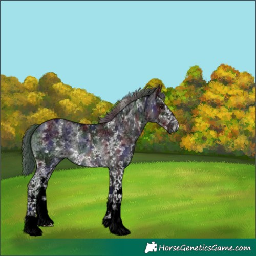 Horse Color:Platinum Nacre Buckskin Ice Sabino Rabicano 