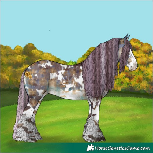 Horse Color:Painted Plaid  White Spotted Chocolate Buckskin Sabino Splash Rabicano 