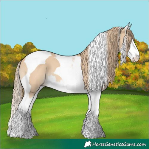 Horse Color:Red Dun Splash Tobiano 