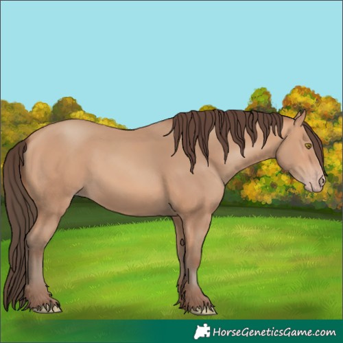 Horse Color:Amber Champagne 