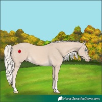 Horse Color:Cremello