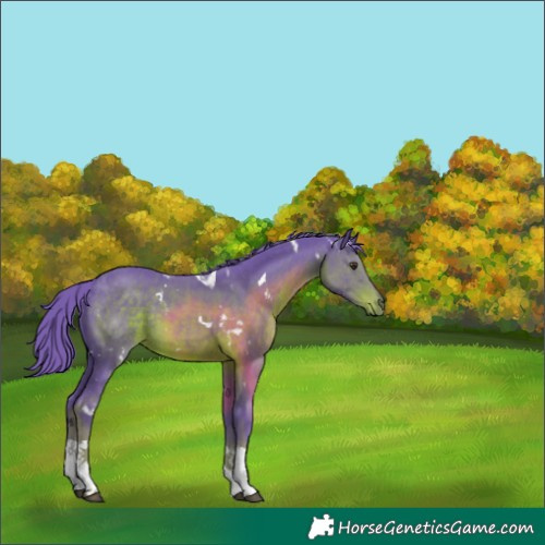 Horse Color:Watercolor White Spotted Liver Chestnut Tobiano 