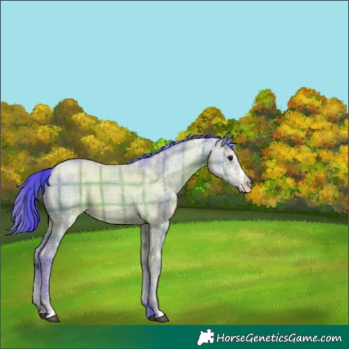 Horse Color:Watercolor Plaid  Brown Ice Dun Sabino 