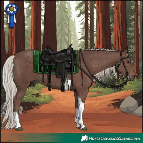 Horse Color:Silver Black Tobiano