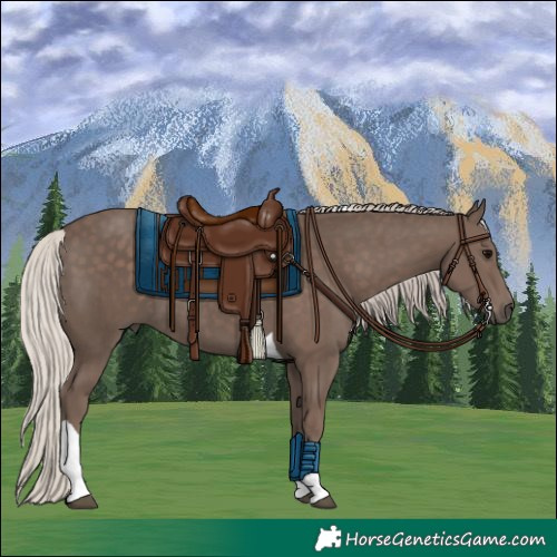 Horse Color:Silver Black Tobiano