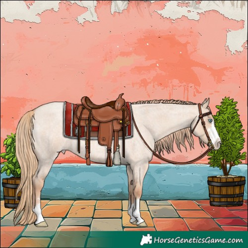 Horse Color:Gold Champagne Roan Dun 