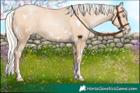 Horse Color:White Spotted Silver Amber Champagne Pearl Sabino