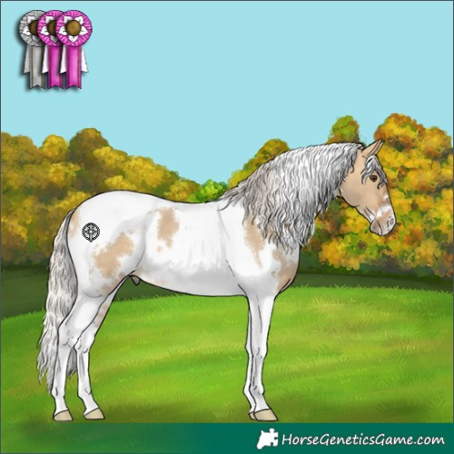Horse Color:White Spotted Silver Buckskin Dun Tobiano 