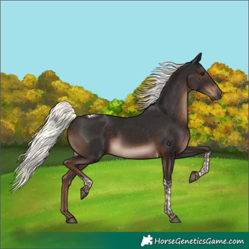 Horse Color:Liver Chestnut Mushroom Tobiano Rabicano 