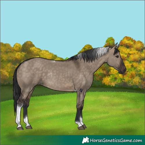 Horse Color:Brown Dun Tobiano Rabicano 