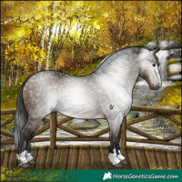 Horse Color:Gray Brown Dun 