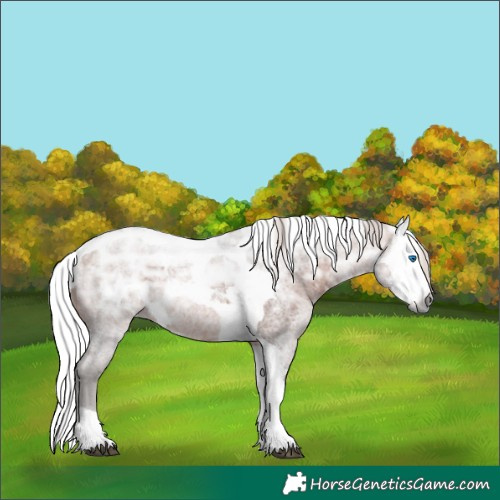 Horse Color:Silver Brown Ice Roan Merle Tobiano Rabicano 