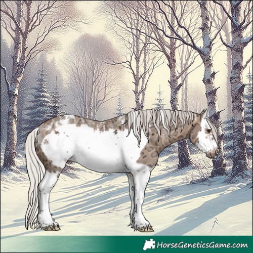 Horse Color:Powder White Silver Brown Ice Dun Splash Frame Rabicano