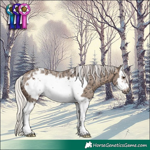 Horse Color:Powder White Silver Brown Ice Dun Splash Frame Rabicano 