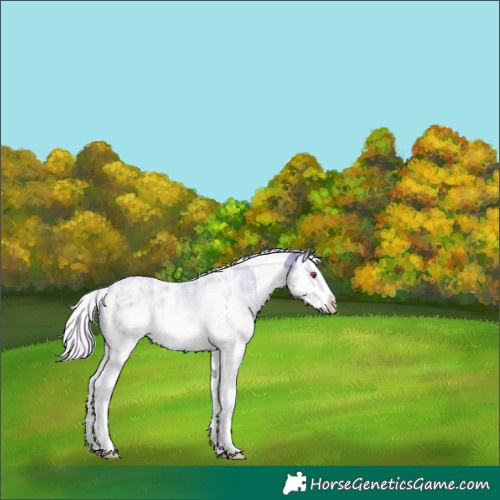 Horse Color:Watercolor White Spotted Silver Black Chinchilla Ice Splash 