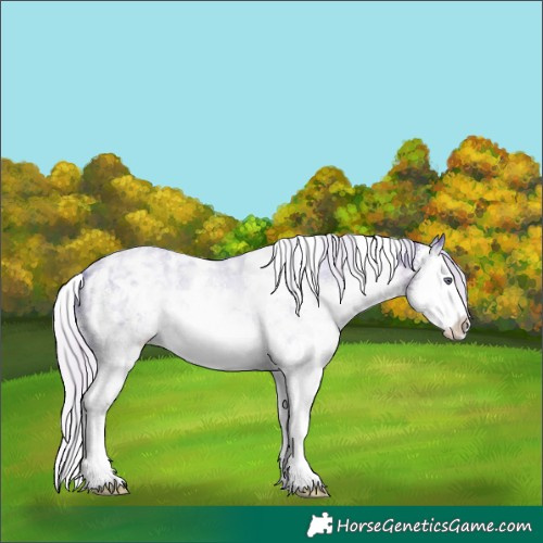 Horse Color:Watercolor White Spotted Silver Black Chinchilla Ice Splash 
