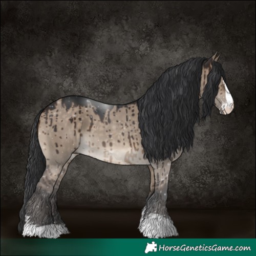 Horse Color:Brown Dun Sabino Brindle 
