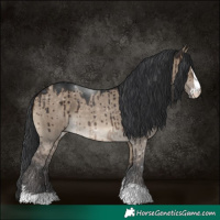 Horse Color:Brown Dun Sabino Brindle