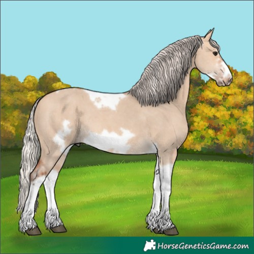 Horse Color:Silver Bay Dun Sabino Tobiano Frame Rabicano 