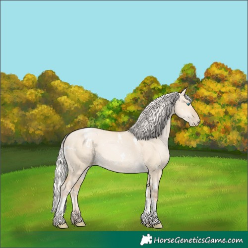 Horse Color:White Spotted Silver Smoky Grullo Pearl Tobiano Rabicano 