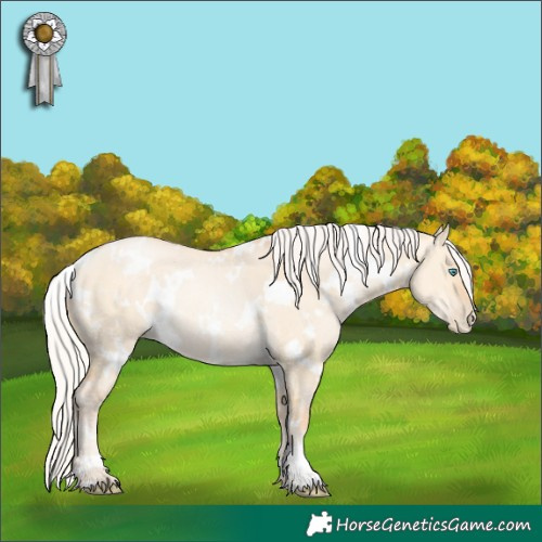 Horse Color:White Spotted Silver Buckskin Pearl Dun Rabicano 