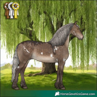 Horse Color:White Spotted Silver Brown Dun Rabicano 