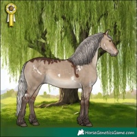 Horse Color:White Spotted Silver Brown Dun Rabicano