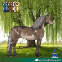 Horse Color:White Spotted Silver Brown Dun Rabicano