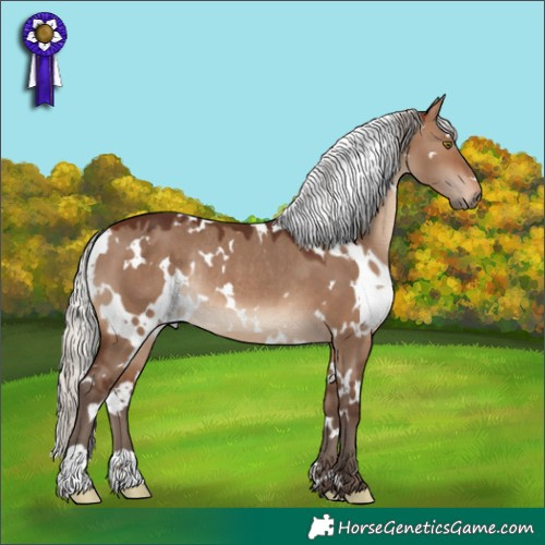 Horse Color:White Spotted Silver Brown Dun Rabicano 