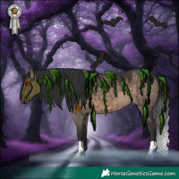 Horse Color:Brown Dun Brindle 