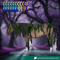 Horse Color:Brown Dun Brindle 