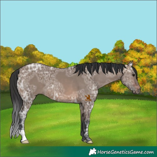 Horse Color:Brown Ice Dun