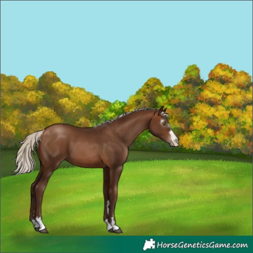 Horse Color:Gray Silver Brown Pearl 