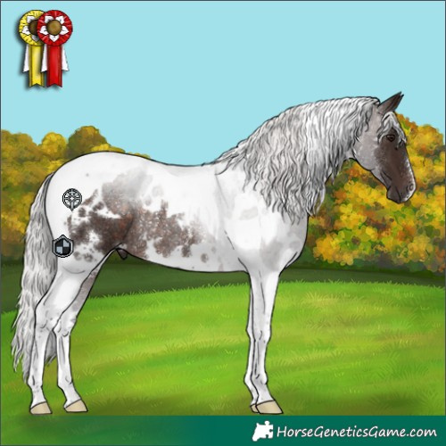Horse Color:White Spotted Silver Brown Tobiano Rabicano 