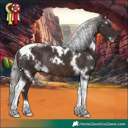 Horse Color:White Spotted Silver Brown Tobiano Rabicano 