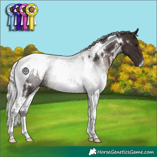 Horse Color:White Spotted Silver Brown Tobiano Rabicano 