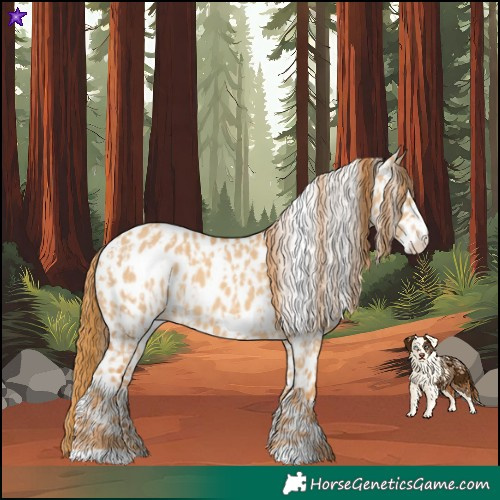 Horse Color:Red Dun Appaloosa  and Red Dun Frame Appaloosa 