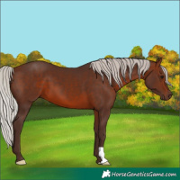 Horse Color:Silver Brown