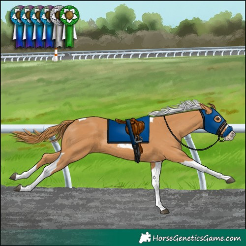 Horse Color:Chestnut Splash Tobiano 