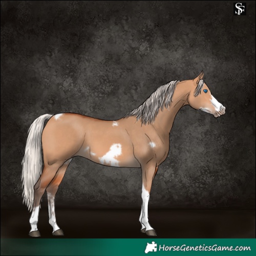Horse Color:Silver Bay Dun Sabino Tobiano Frame Rabicano