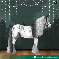 Horse Color:White Spotted Black Splash Tobiano Frame Appaloosa